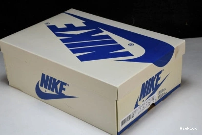 1 DH7890-111 Jordan OG Low  Air 1012